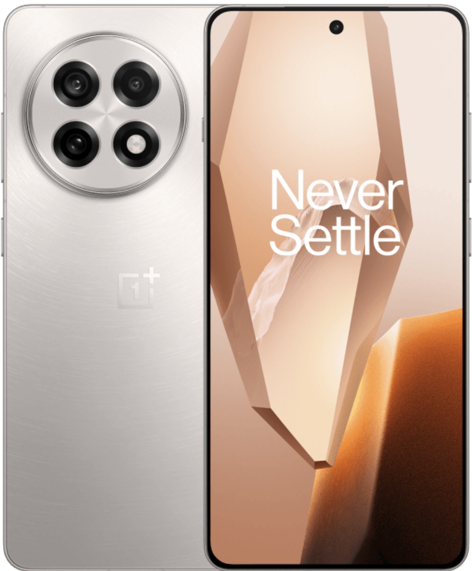 OnePlus 13 5G (24 GB|1 TB|India)